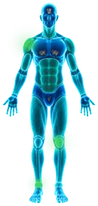 Hologram of the body from the front with the right shoulder, left knee and right ankle lit green, healed.