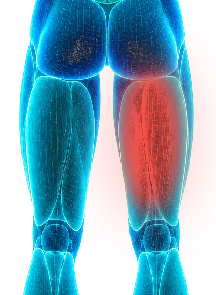 Close-up hologram of the back of both thighs with the right hamstring lit red.