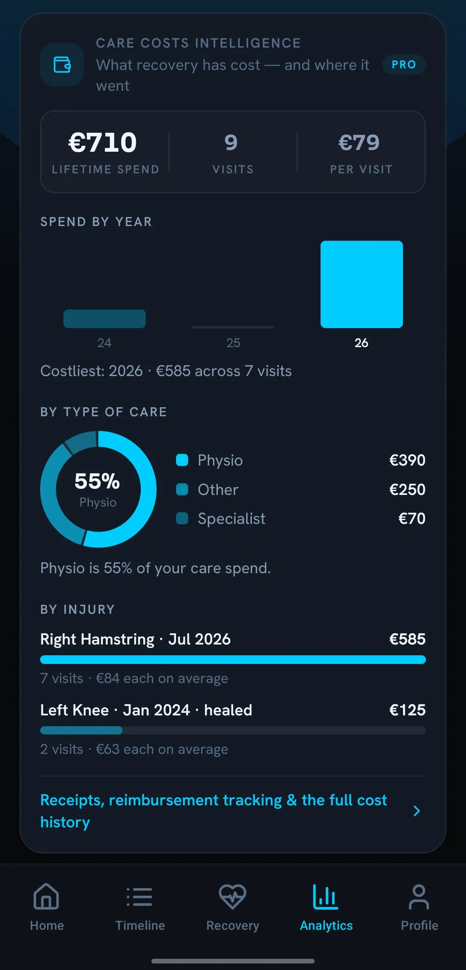 Care costs: 710 euro across 9 visits, spend by year, by type of care and by injury.
